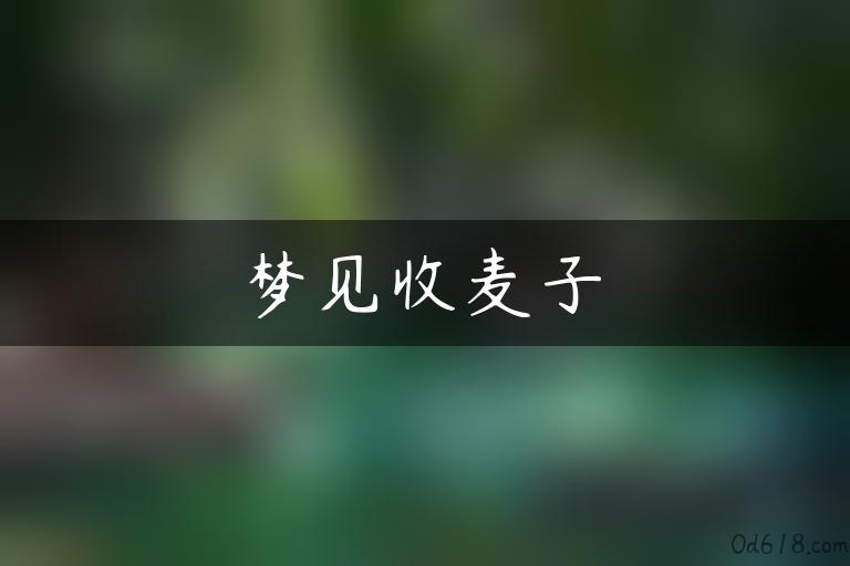 梦见收麦子